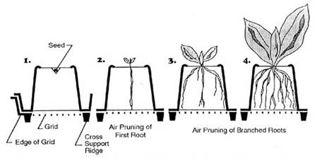 Making air pruning pots / root trainers