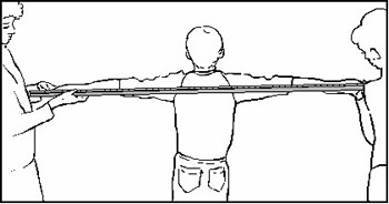 arm span measurement