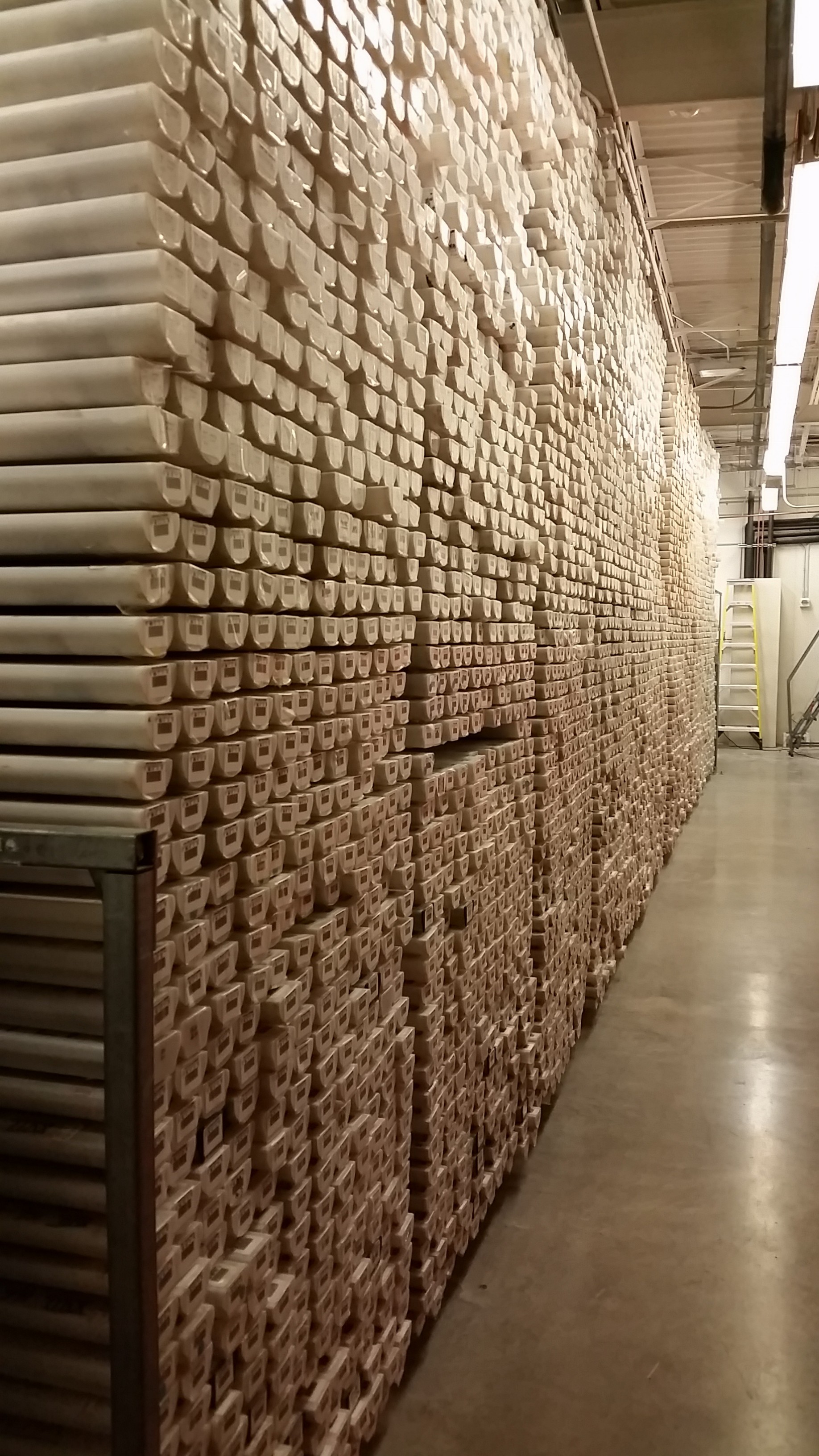 A Visit to the Gulf Core Repository