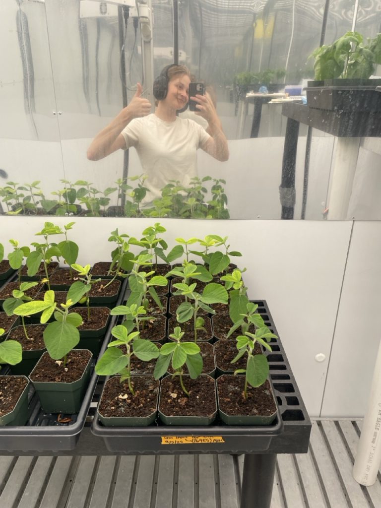A scientist takes a selfie in a mirror. It shows her in a lab in front of a tray of young bean plants.
