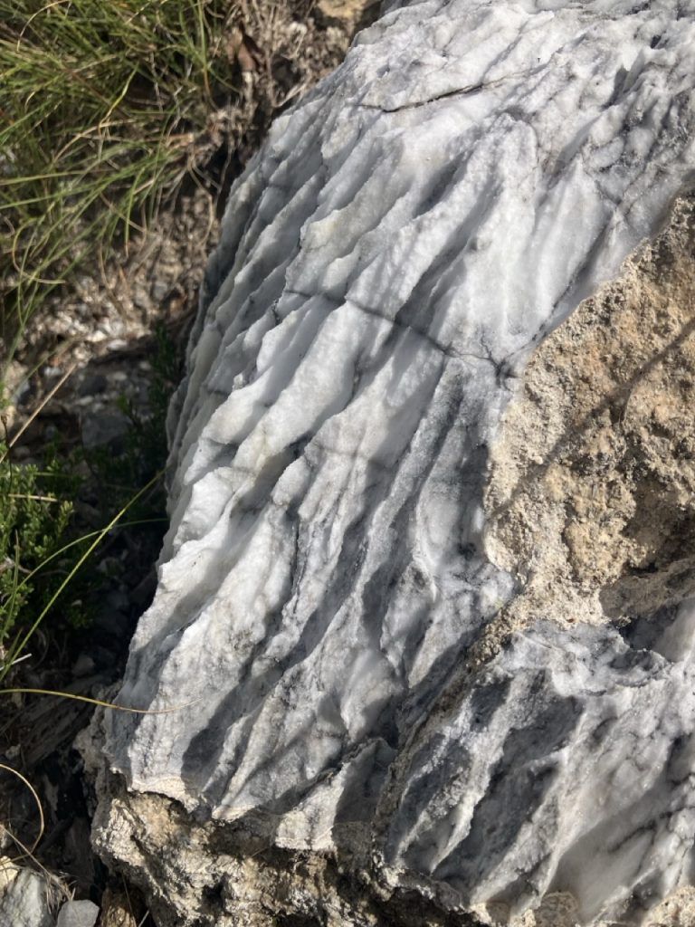 A large white rock with deep grooves.