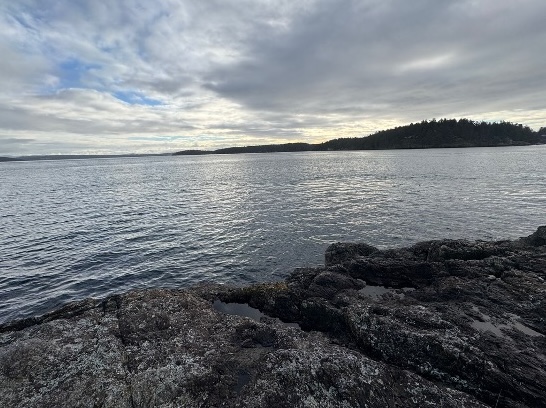 A rocky coastline.