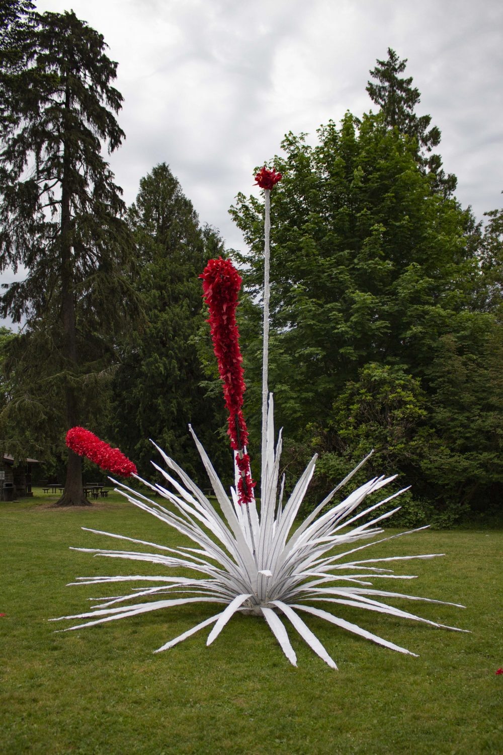 Andy Romero. <em>Doryanthes palmeri transiens</em>. 2020.