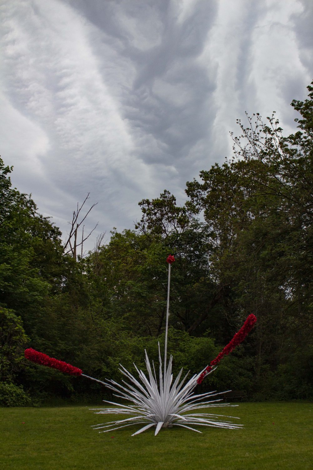 Andy Romero. <em>Doryanthes palmeri transiens</em>. 2020.