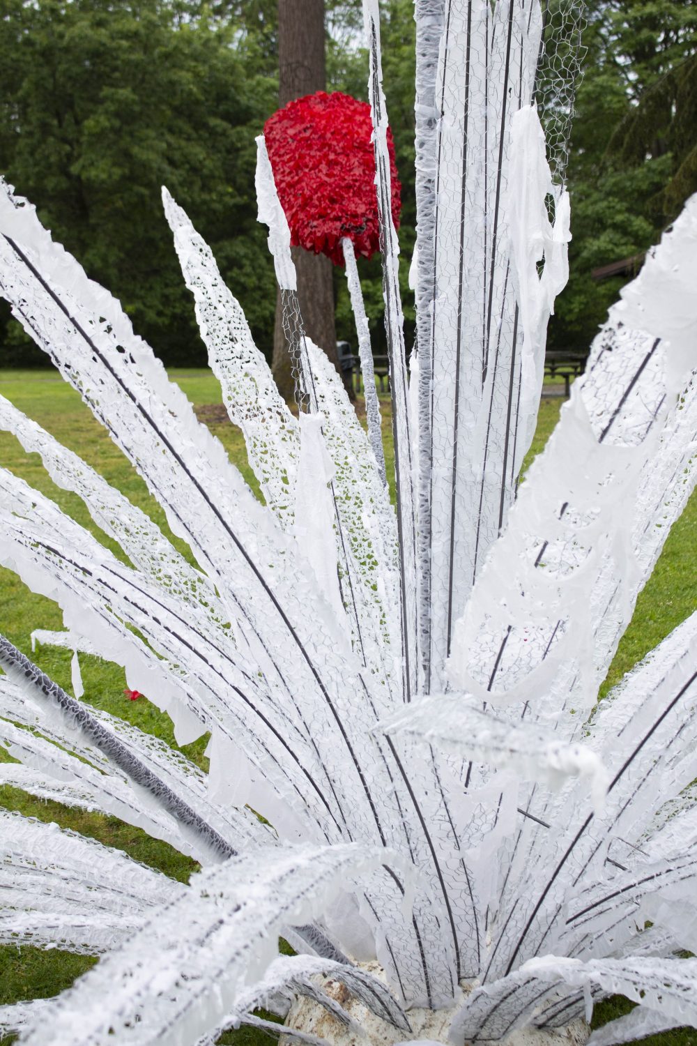 Andy Romero. <em>Doryanthes palmeri transiens</em> [detail, after rain]. 2020.
