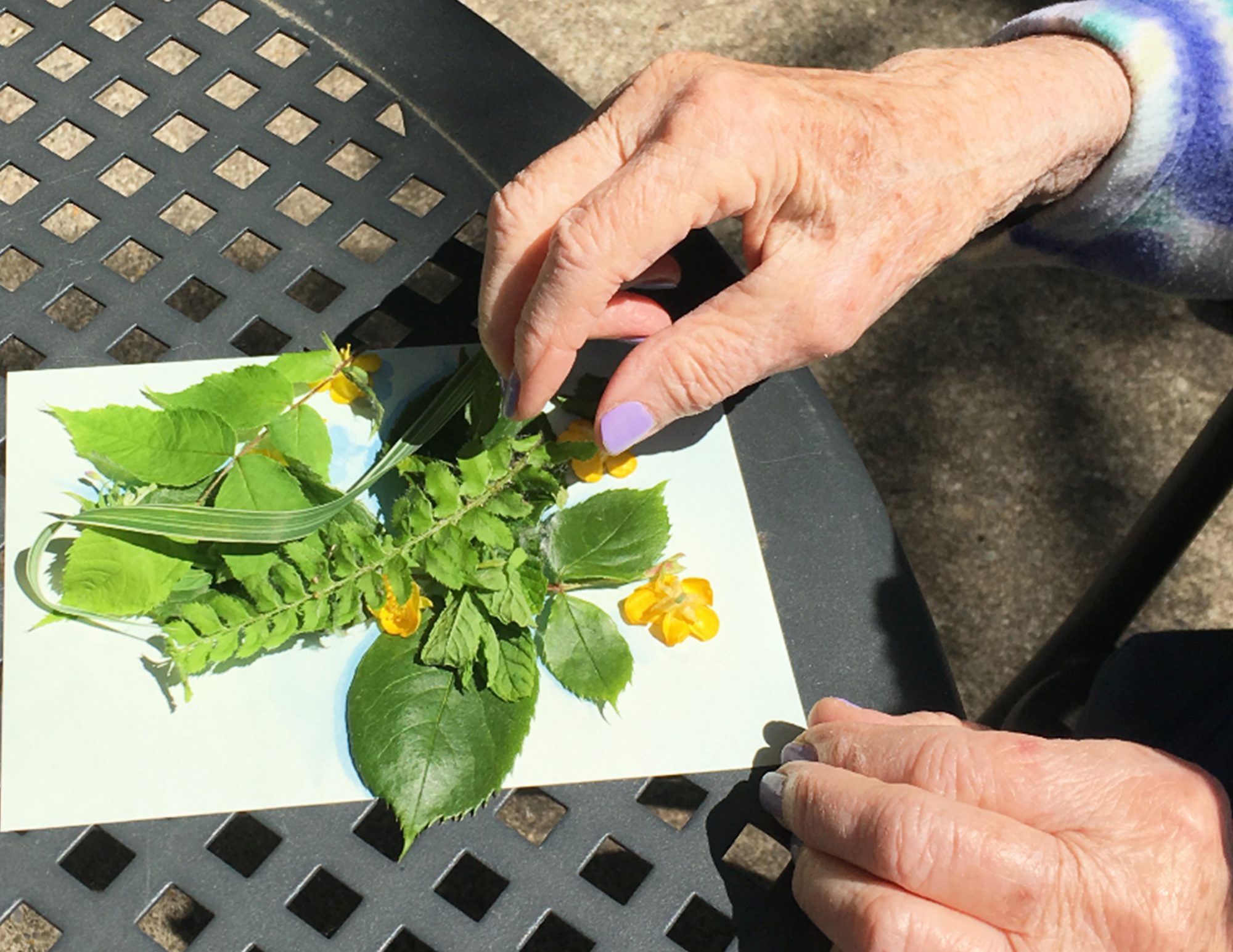 Cal Dobrzynski. Virtual art-making workshop, photogram-inspired activity, 4 participants, Kline Galland, June 2020.