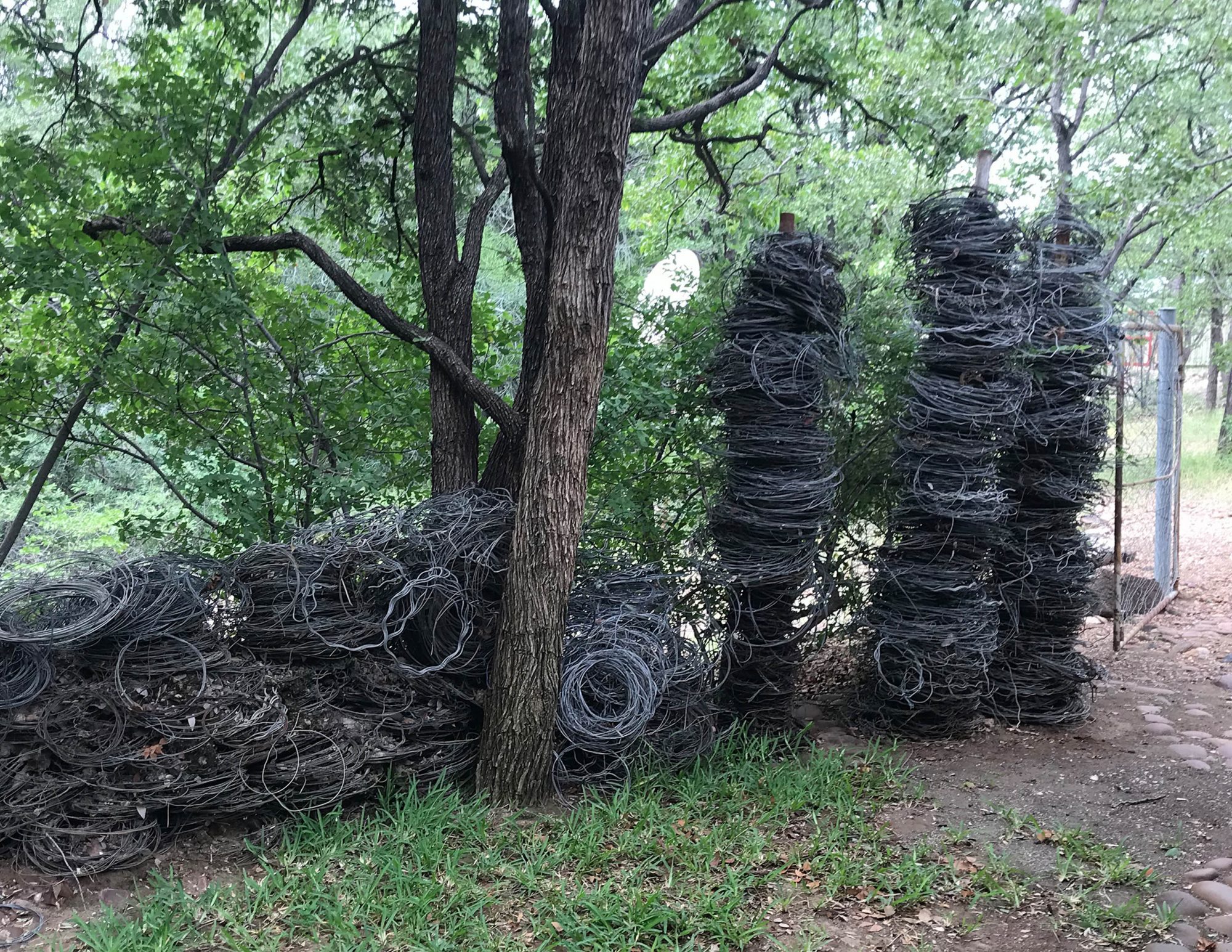 Jeremy Barribeau. Hundreds of poachers’ wire snares, undisclosed location, 2020.