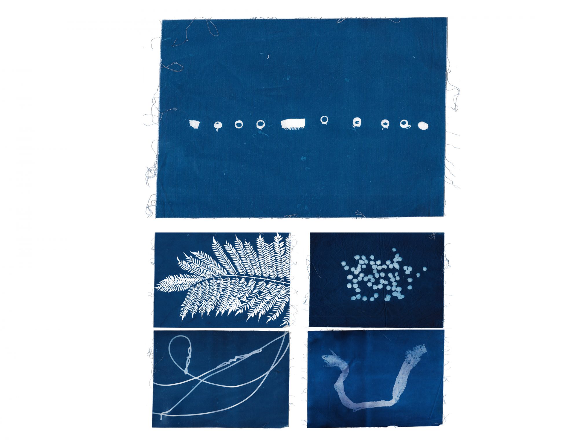 Jeremy Barribeau. Selection of fabric cyanotypes exposed throughout field research. 2020.