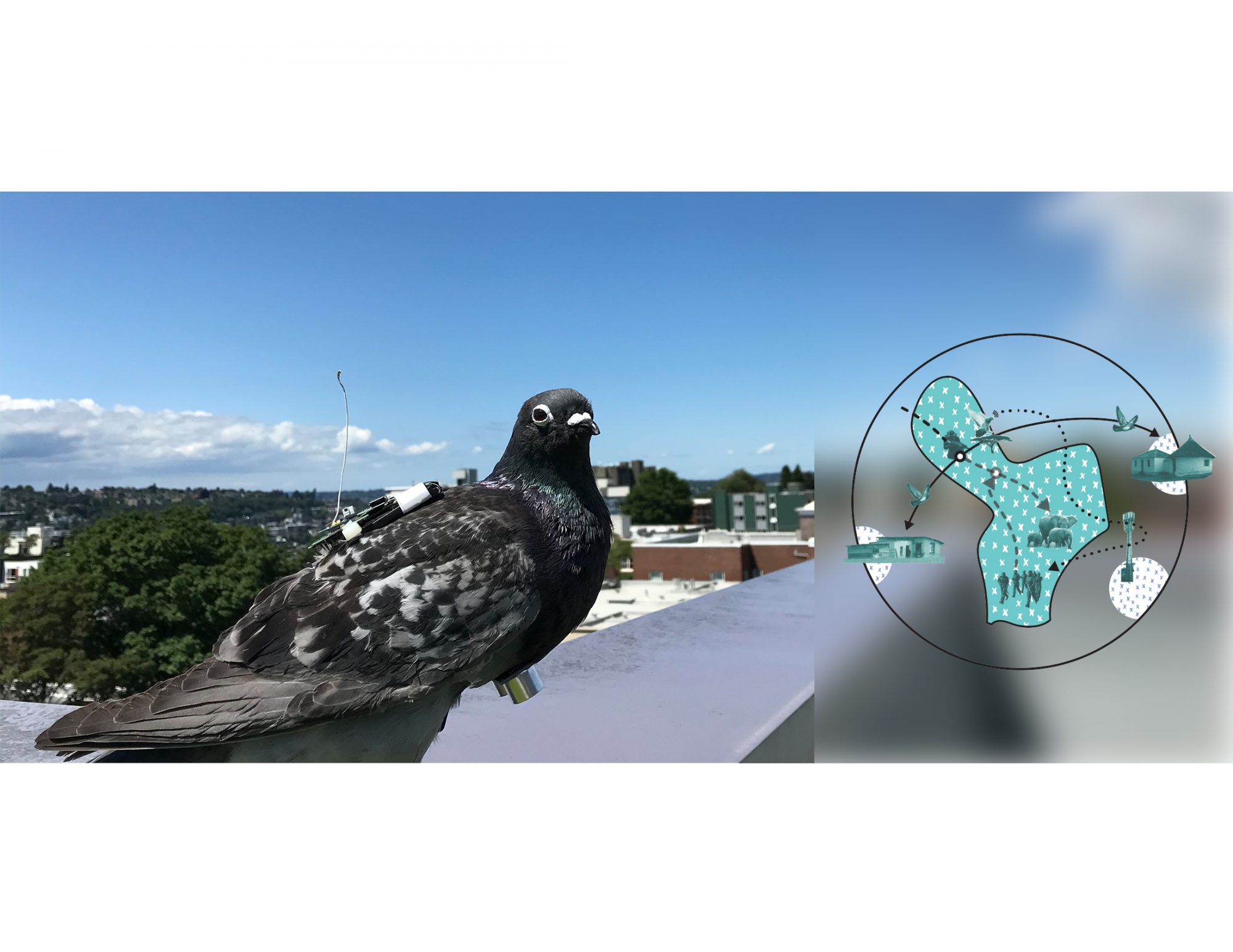 Jeremy Barribeau. Material synthesis: Concept 3. 2020.