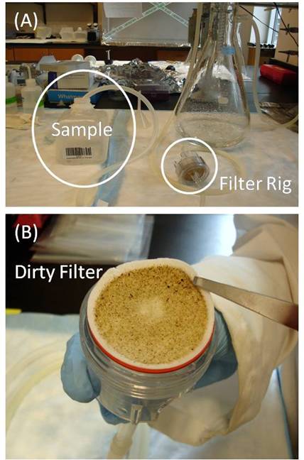Lab Methods Filters