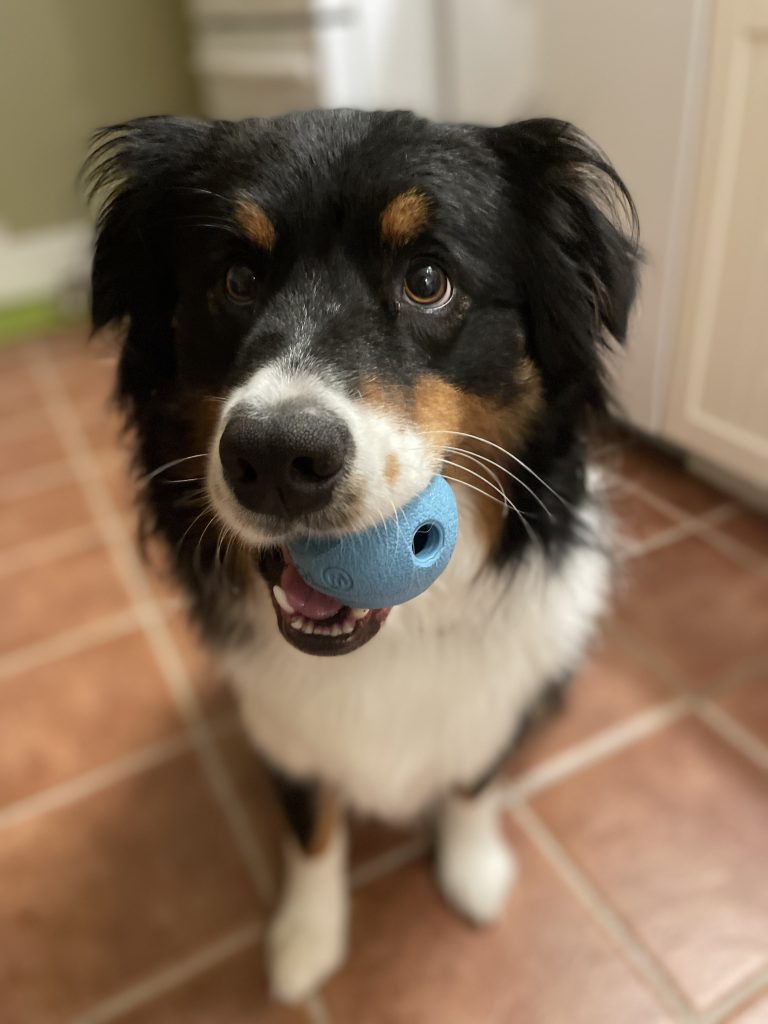 Moose aka: Van Dis