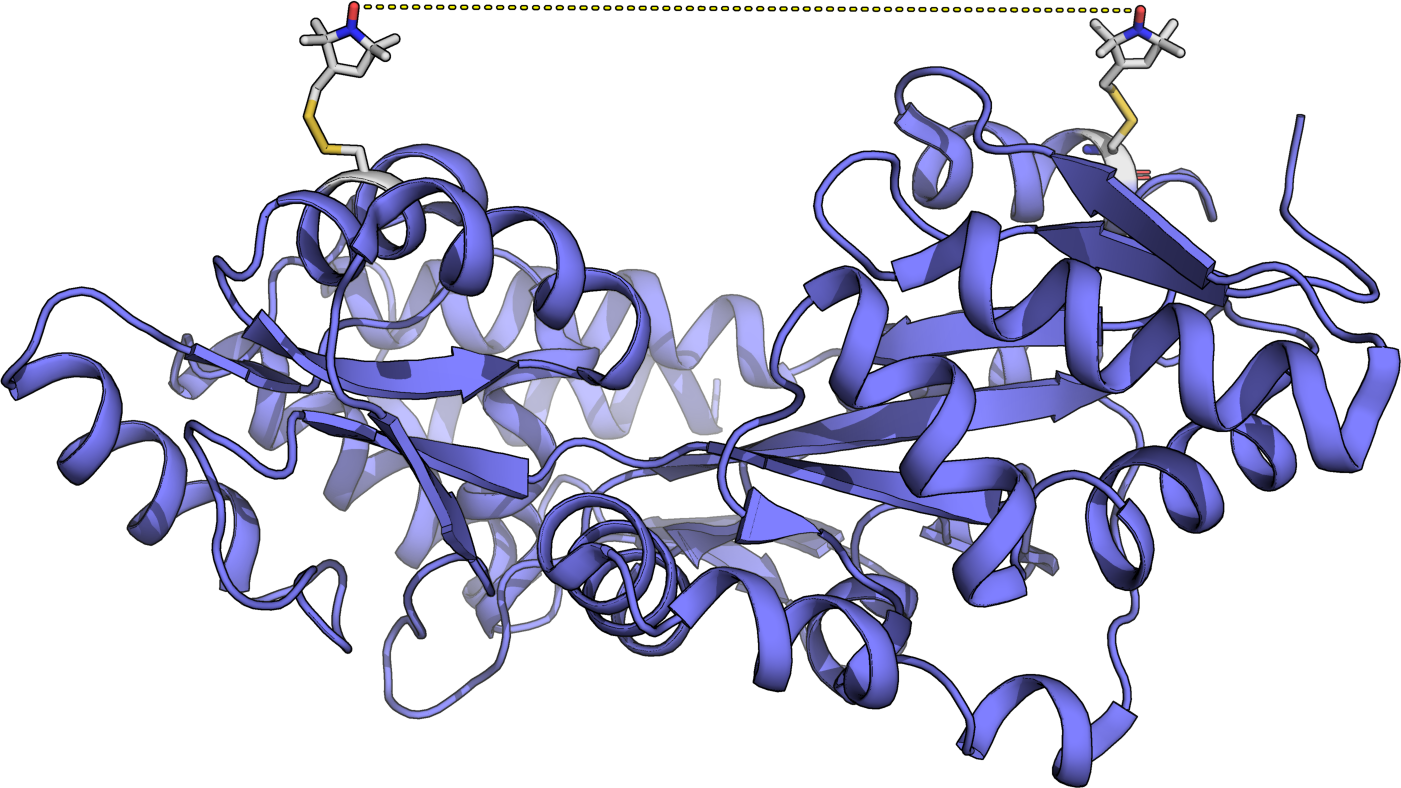 Biobits Protein Structure And Function Answer Key