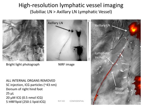 High Res Lymph Imaging