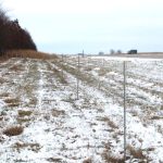 Design of Living Barriers to Reduce the Impacts of Snowdrifts on Illinois Freeways
