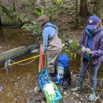 Environmental DNA: From Knowledge to Action for Management