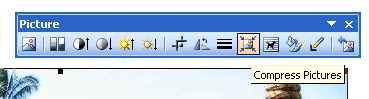 Picture Toolbar