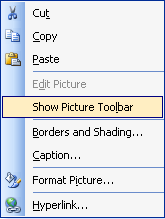 Show Picture Toolbar