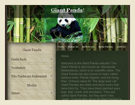 Giant Panda