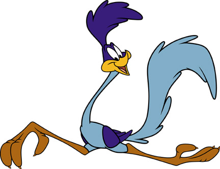 roadrunner.jpg