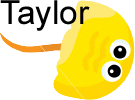 taylor
