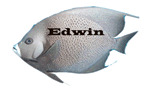 Edwin