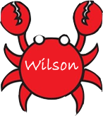 wilson