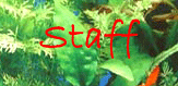 staff