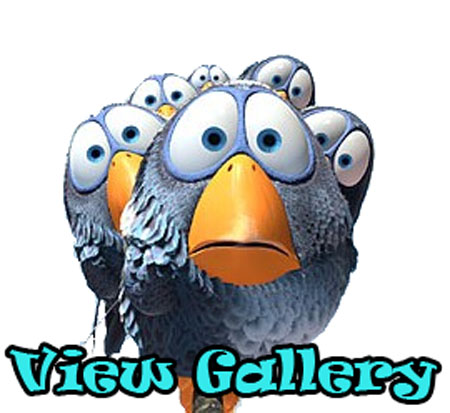 forthebirds