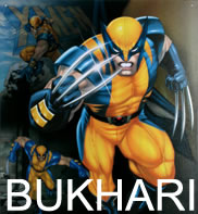 Bukhari's icon