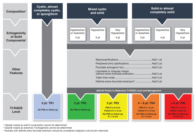 Thyroid: ACR TIRADS | UW Ultrasound
