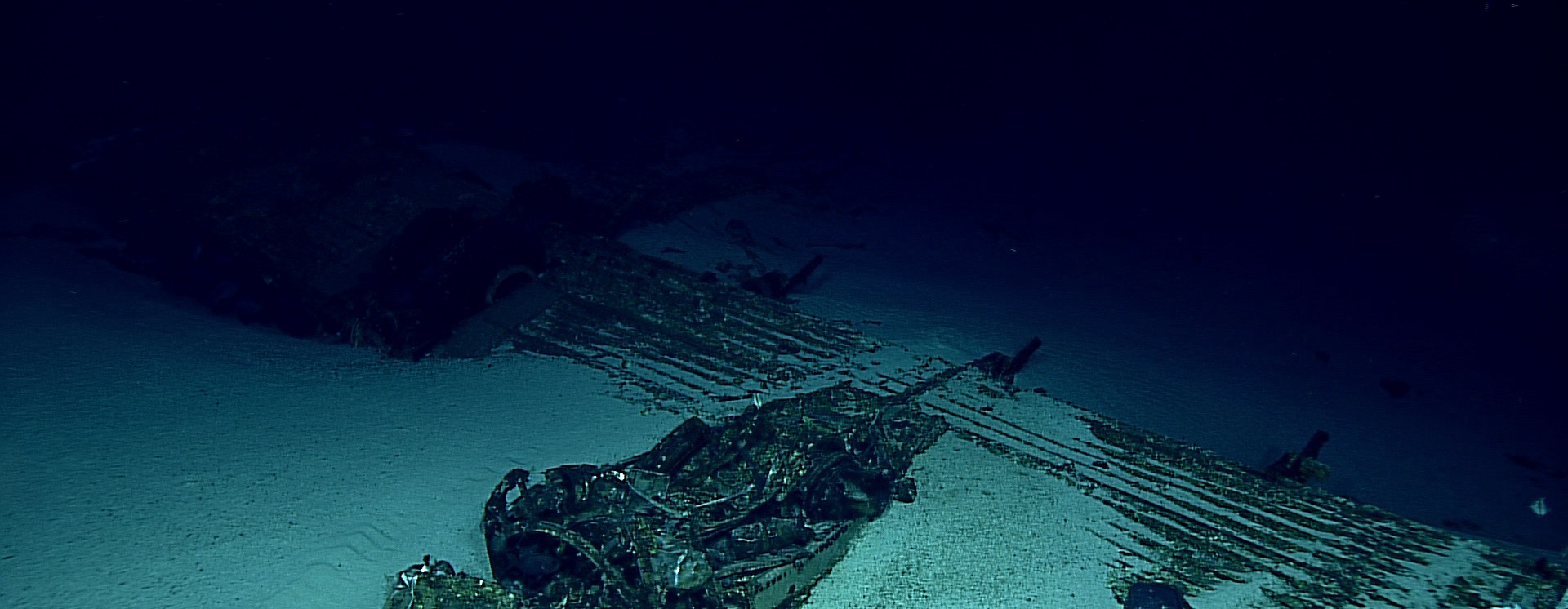 image from Underwater Cameras