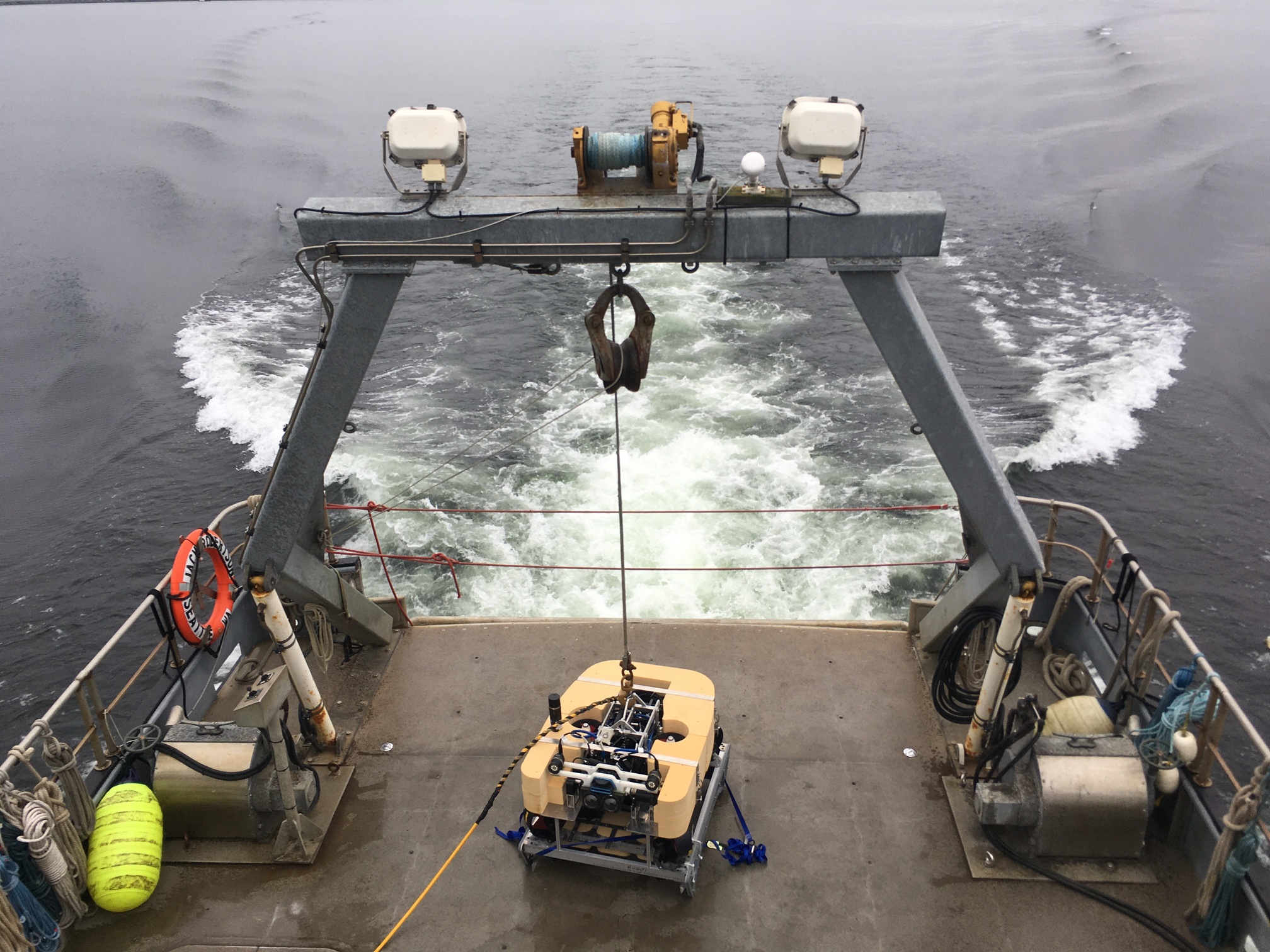 image from Raven ROV in action