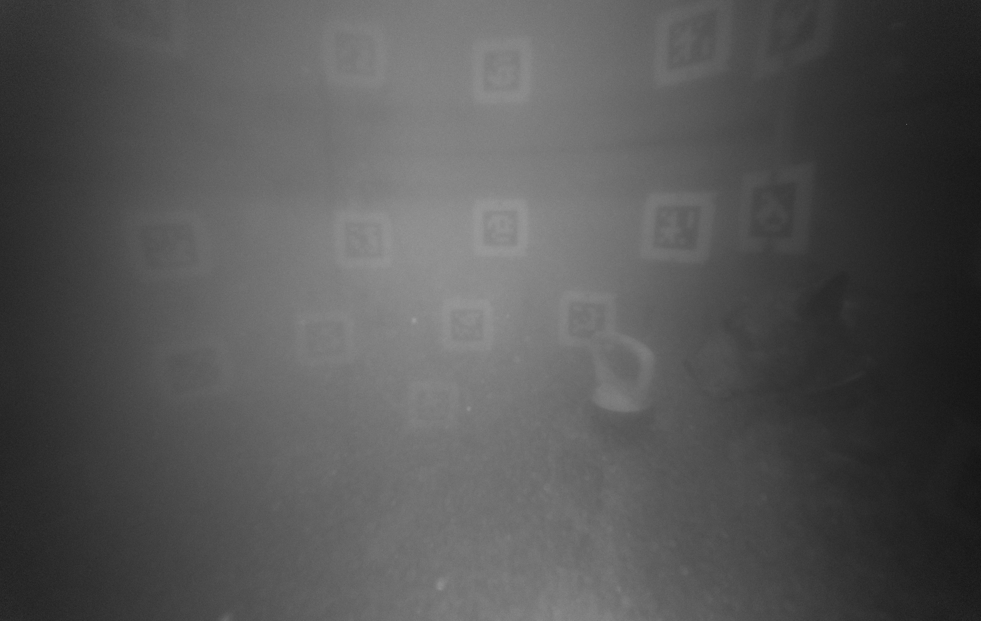 image from Stereo Observations of TuRbid Underwater Environments (SOTRUE)