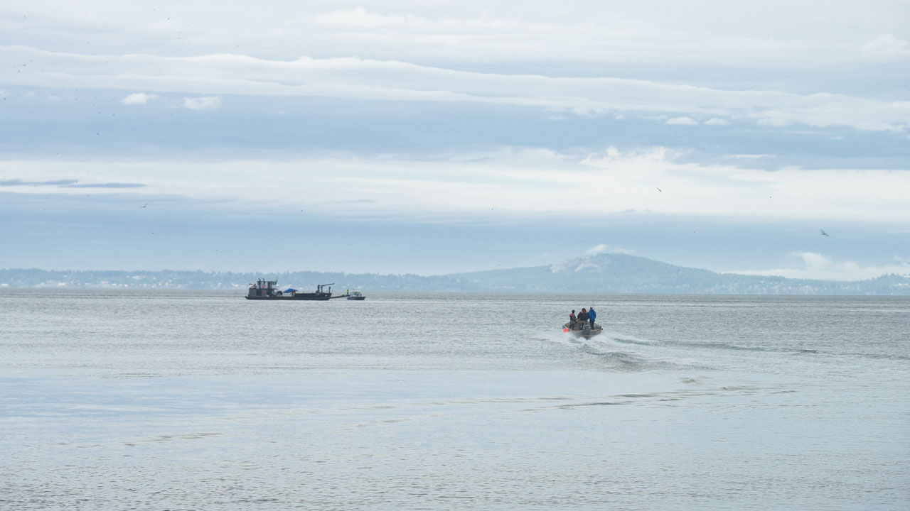 a small boat with 3 passengers moving quickly to meet a larger boat