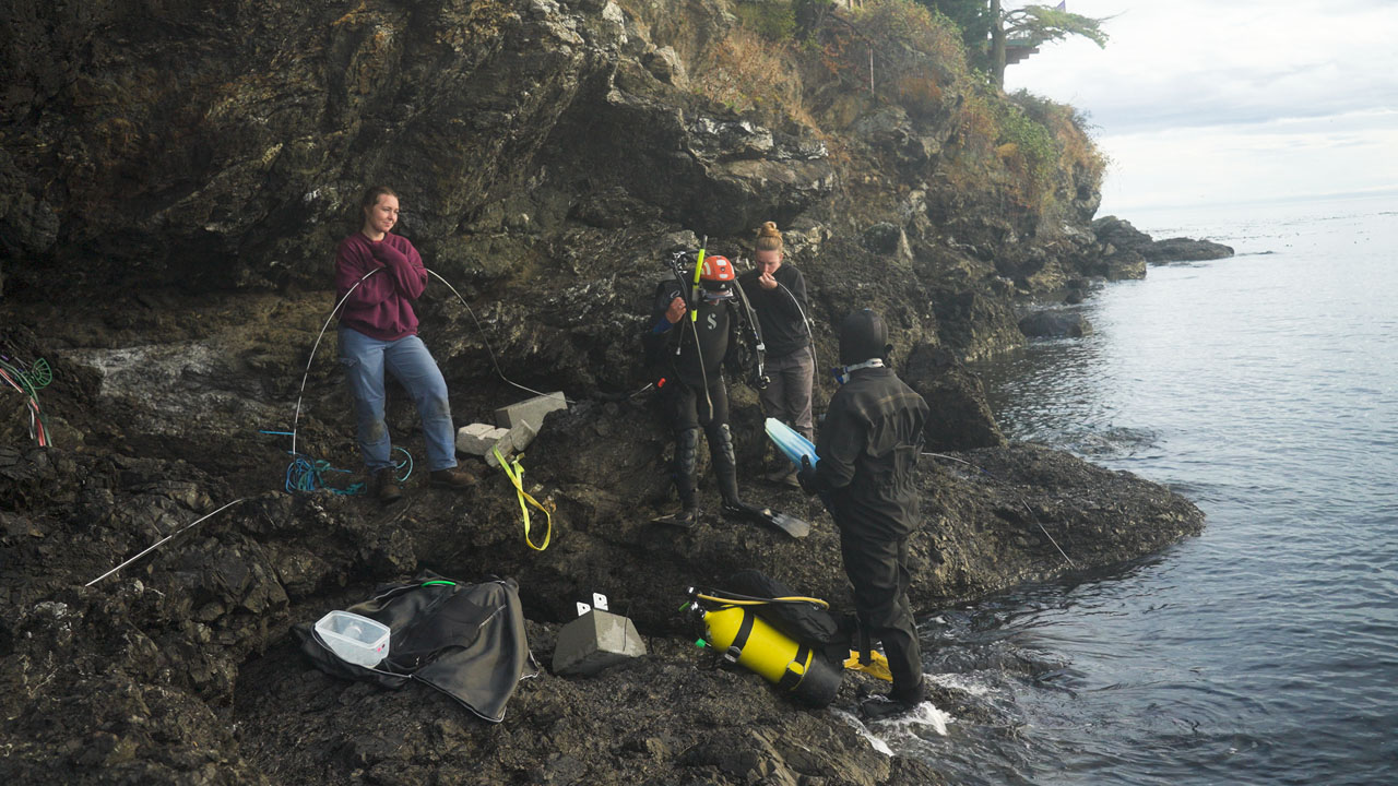 2 divers and assitants prepare to enter the water on a rough coast line