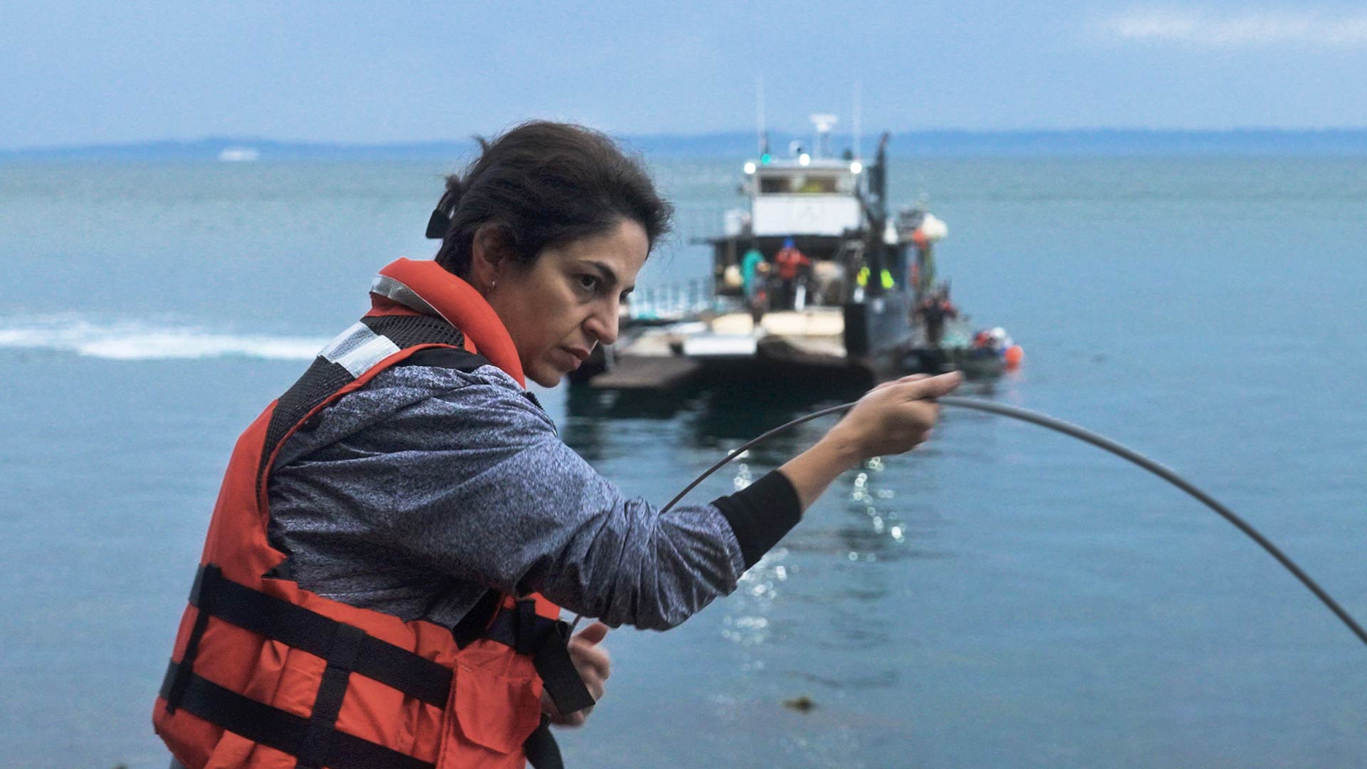 Video thumbnail for Using light to hear the whales