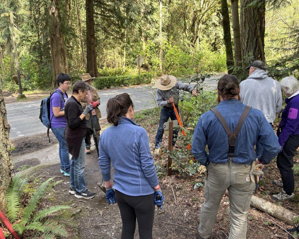 Invasive Species Management & Restoration Internship