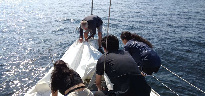 UW Data Science in Oceanography Summer Program