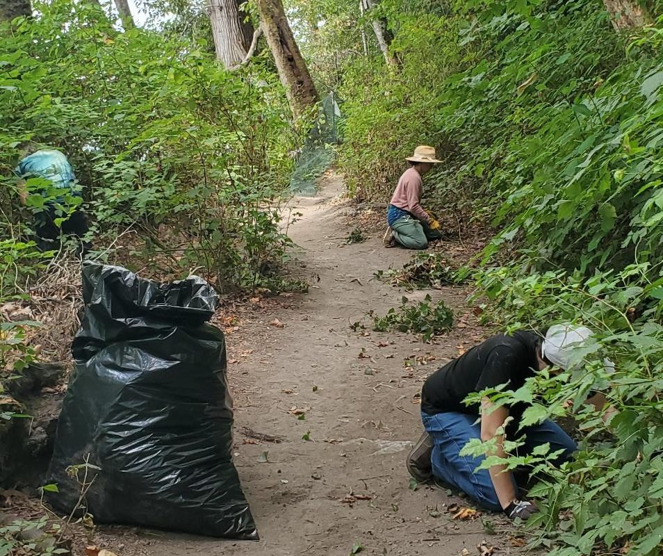 Invasive Species Management & Restoration Internship