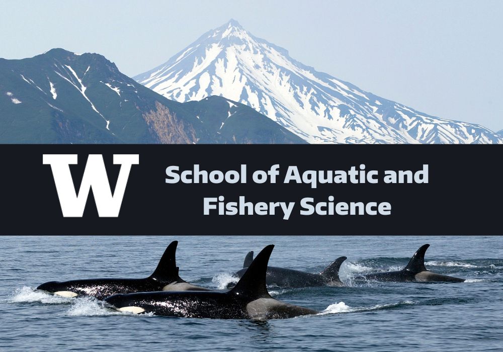 Conduct Research with Scientists at the Marine Mammal Laboratory!