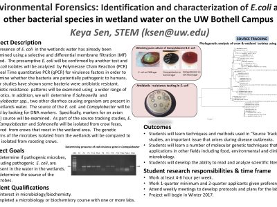 Environmental Forensics: Identification and Characterization of E. coli and other Bacterial Species in Wetland Water on UWB Campus