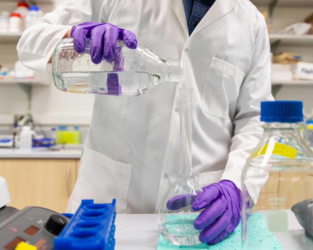 UW Pharmacy Nelson-Mendenhall Summer Scholars Program
