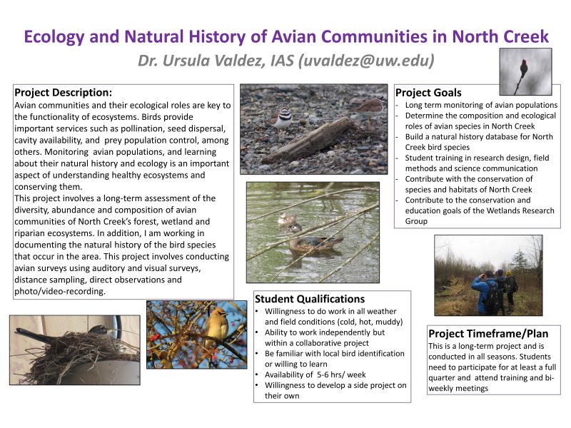 Ecology and Natural History of Avian Communities in North Creek
