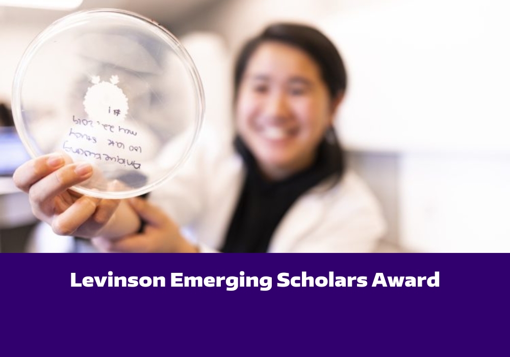 Levinson Emerging Scholars Award