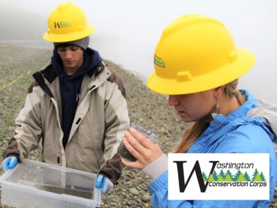 Washington Conservation Corps (an AmeriCorps program)