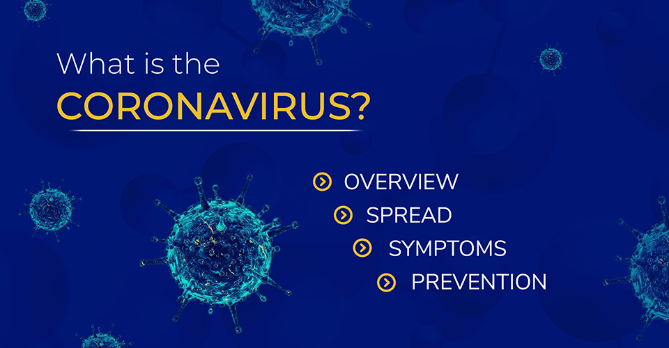 1 What is coronavirus (002)_cropped