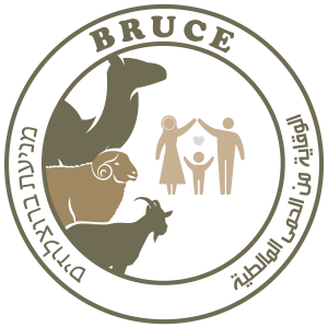 BRUCE logo