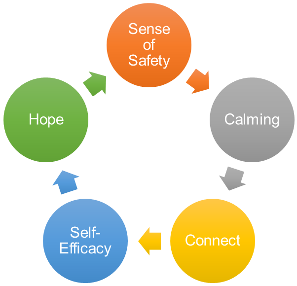 The Stress Continuum Model.