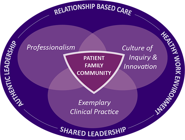 Venn diagram showing structure of relationship-based care model.