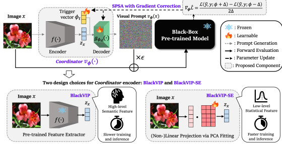 BlackVIP black-box visual prompting for foundation model adaptation